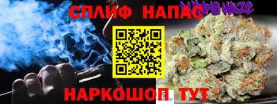 трава Сланцы