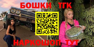 трава Сланцы